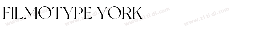 FILMOTYPE YORK字体转换